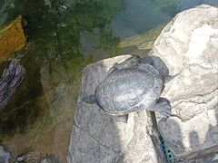 -香港海洋公园