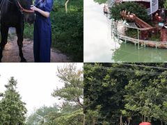 -牛鱼嘴原始生态风景区