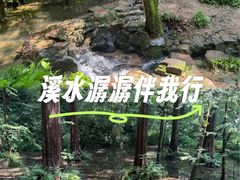 -宋宴(虎跑店)
