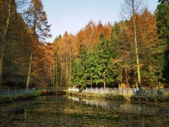 -山王坪喀斯特国家生态公园