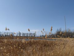 -野鸭湖国家湿地公园