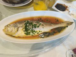 -上海浦东华美达大酒店·宴会厅