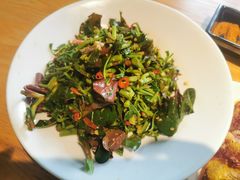 -滇铺子·云南特色菜·第九届野生菌美食节(东风东路c86店)