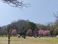 -采石矶景区