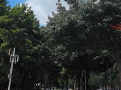 -长洲岛