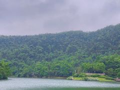 -桃花岭景区