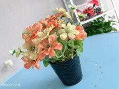 -椰本·海南正宗椰奶清补凉(佳园里店)