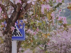 -小南山公园