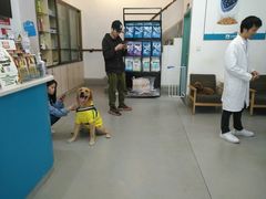 -贝利宠物医院·骨科·眼科·肿瘤转诊中心(南坪诊疗中心)