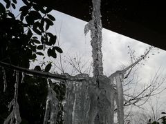 -西湖风景区-江洋畈生态公园