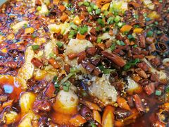 -爱妻鱼•老体北重庆水煮鱼•川菜(白云路店)