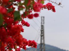 -广州市帽峰山景区