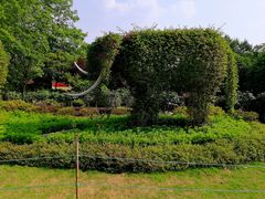 -铁山坪森林公园