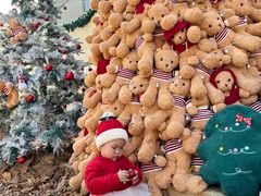 -HERRE·FARM 赫尔露营农场·团建聚会包场