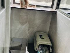 -申普宠物医院·心脏介入·心血管微创(总院)