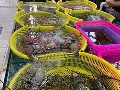 -板桥海鲜广场(文明东店)