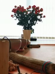 点击看大图 -阿南达·瑜伽普拉提·阿育吠陀疗愈中心