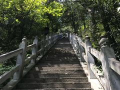 -塔云山