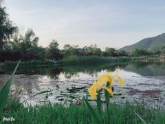 -石塘人家