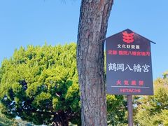 -鹤冈八幡宫