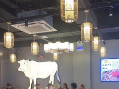-小肥牛潮汕牛肉火锅(南联店)