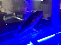 -桥岚·巷子鲜河豚鱼(专门店)