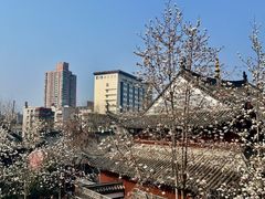 -长春观