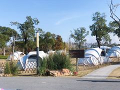 -上海长兴岛郊野公园