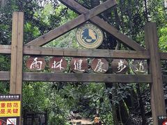-西双版纳原始森林公园