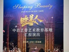 -中央芭蕾舞团·中芭艺蕾(酒仙桥明星校区)