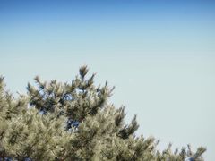 -长春公园(普阳街道)