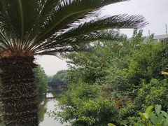 -四川大学(江安校区)