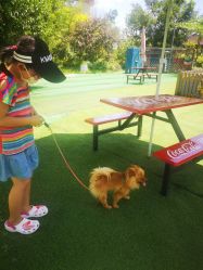 -萌宠亲子动物乐园(槐房万达店)