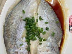 清蒸海鱼-好味道海鲜大排档·老字号(巽寮湾海鲜市场店)