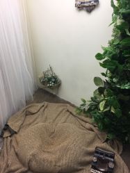 -贯日漂亮宝贝母婴用品生活馆(太古店)