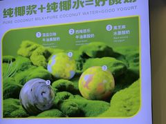 -吴山山·椰子酸奶(天河南店)