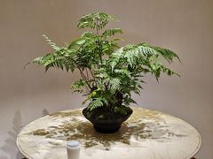 -成都天府丽都喜来登饭店