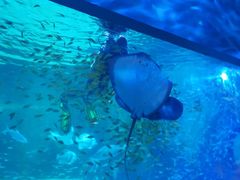-常州海昌海洋探索馆