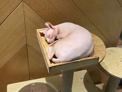 -约网咖(西塔店)