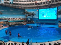 -海合安成都极地海洋公园