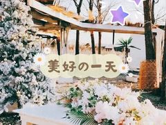 -安德鲁户外烧烤帐篷营地(马泉营店)