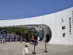-盐城丹顶鹤湿地生态旅游区