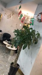 -时尚玩家发型设计