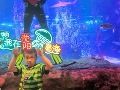 -沈阳海洋探索中心