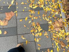 -山东外贸职业学院