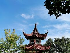 -北宫国家森林公园