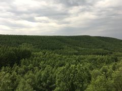 -塞罕坝国家级自然保护区