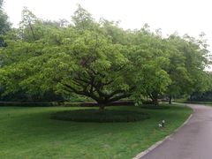 -成都市活水公园