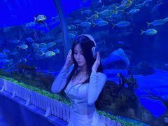 -石家庄极地海洋世界