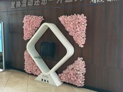 -哈尔滨龙晟雷克萨斯